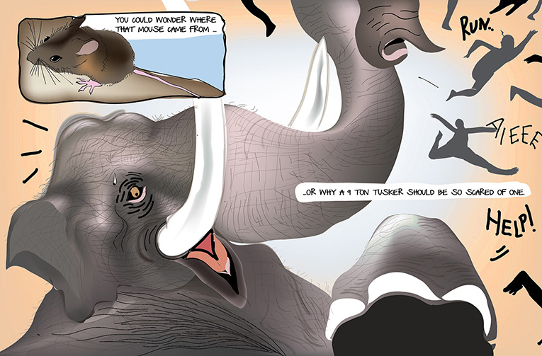 The Oracle of Tripe #3 class=