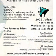 Desperate Literature Prize 2025