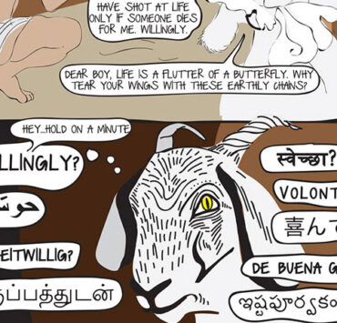 The Oracle of Tripe #16