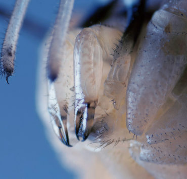 Helter Skelter x Desperate Literature 2024