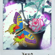 The Last Butterfly, illustration by Ria Rajan