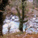 The rushing river Parvati