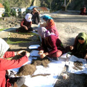 Courting the Countryside